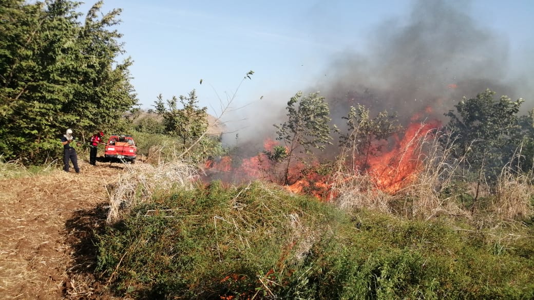 Poco después de registrado el incendio del maizal, las unidades bomberiles fueron alertadas de un segundo incendio, esta vez en Las Tablas, en la vía que conduce a playa El Uverito. Foto/Thays Domínguez