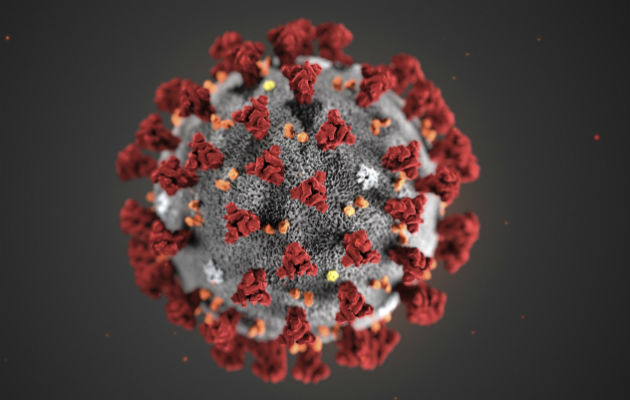 Imagen microscópica del nuevo coronavirus, denominado 2019-nCoV. Foto: Archivo/Ilustrativa.