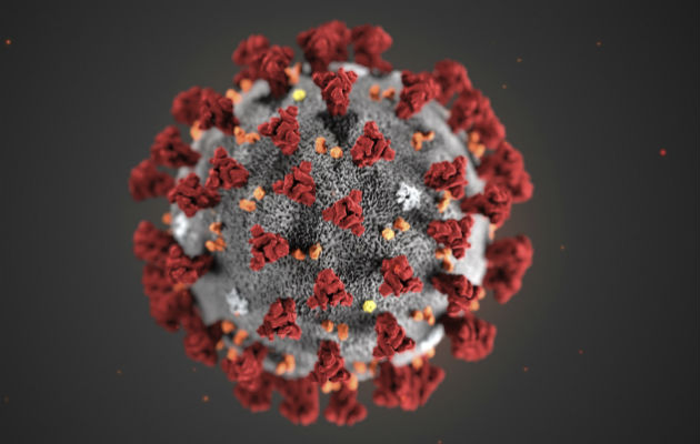 Imagen microscópica del nuevo coronavirus, denominado 2019-nCoV. Foto: Archivo/Ilustrativa. 