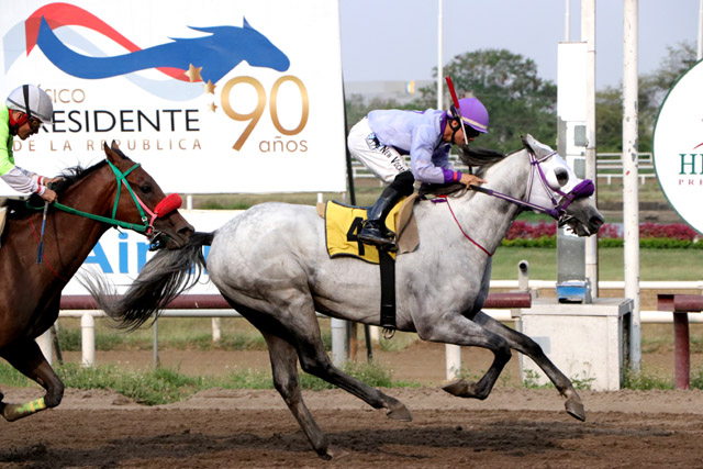 Darío Ruth competirá en el Hipódromo Presidente Remón.