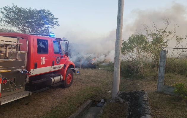 La mayoría de los incendios de masa vegetal son provocados por la mano del hombre.