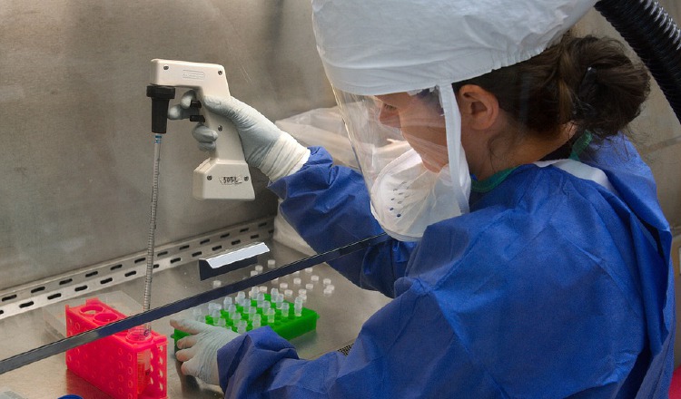 El panel se titula 'El liderazgo como herramienta para las mujeres en la ciencia'. Pixabay