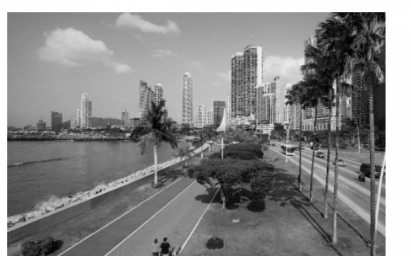 La consulta ciudadana está programada para el 11 de marzo. Foto: Archivo  