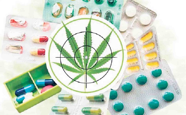 El cannabis tiene propiedades curativas para la epilepsia, esclerosis múltiple y convulsiones, entre otras morbilidades.