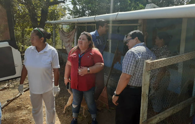 La señora vive en condiciones muy precarias con uno de sus hijos que es poco lo que le puede dar. Foto: Melquíades Vásquez.