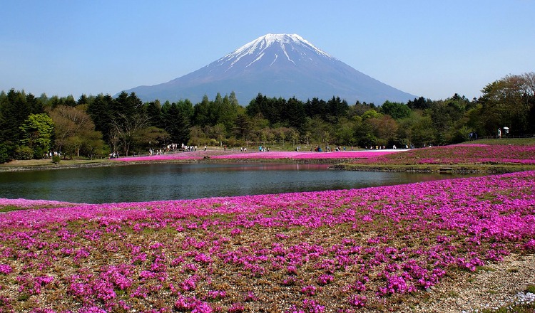 El Monte Fuji sigue siendo un lugar preferido para los japoneses en esta fecha.  Pixabay