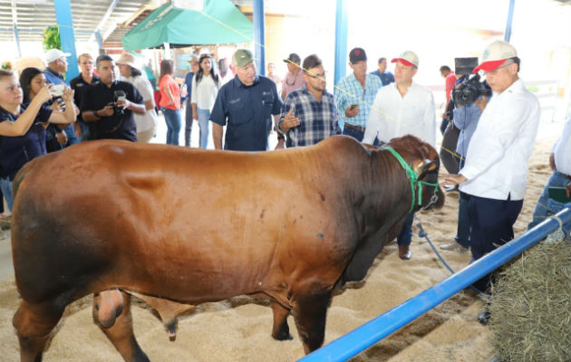 Estados Unidos autorizado un laboratorio de referencia en Honduras para realizar los análisis respectivos. Foto/Cortesía