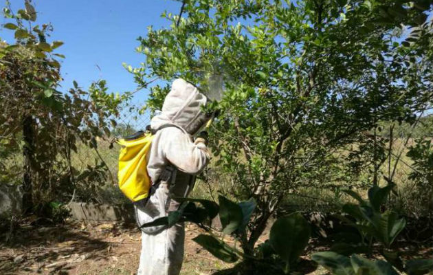Bomberos advierten a la población por presencia de abejas africanizadas. Foto/Cortesía