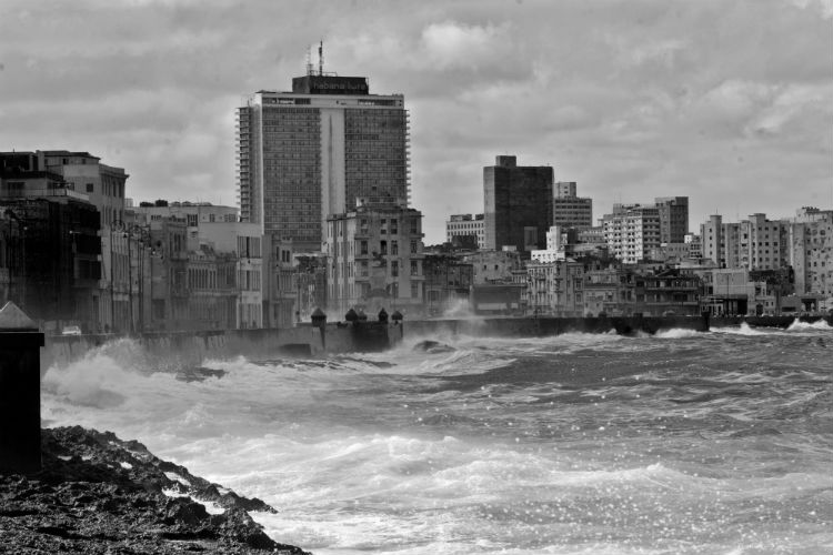 La destrucción del planeta es obra de la conciencia depredadora que caracteriza al hombre. Foto: Archivo.