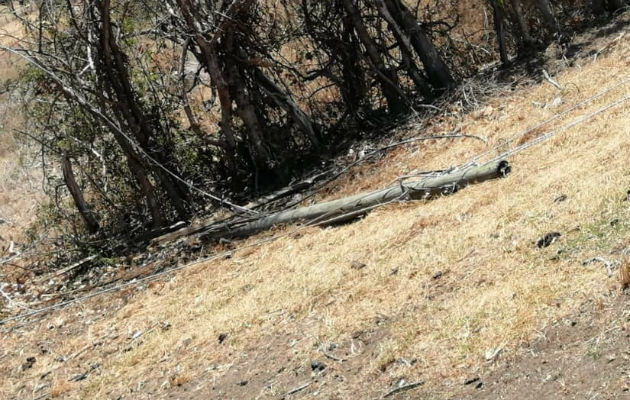 Tras la caída de los postes, se dio un incendio de masa vegetal en el área. Foto: Thays Domínguez.