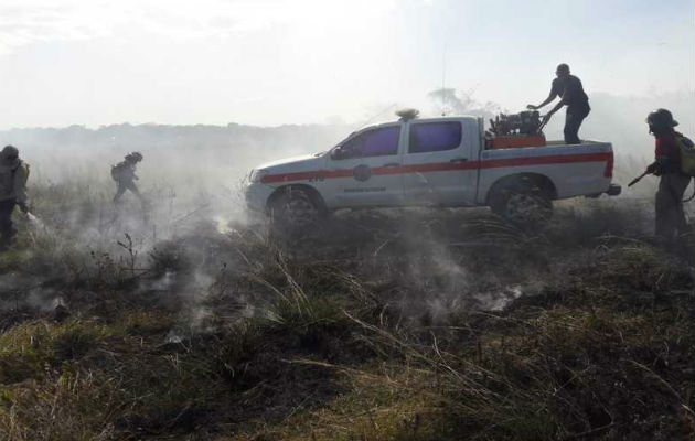 Los incendios de masa vegetal  afectan a las personas, la flora y fauna.  