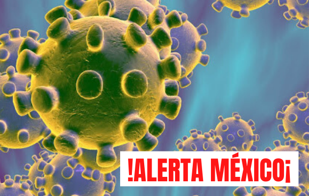 Detectan segundo caso de coronavirus en América Latina. Foto/Cortesía