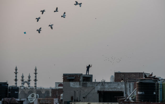 Se vuelan papalotes en Nueva Delhi, pero sus cuerdas revestidas de vidrio pueden ser fatales para aves y gente. Foto / Saumya Khandelwal para The New York Times.