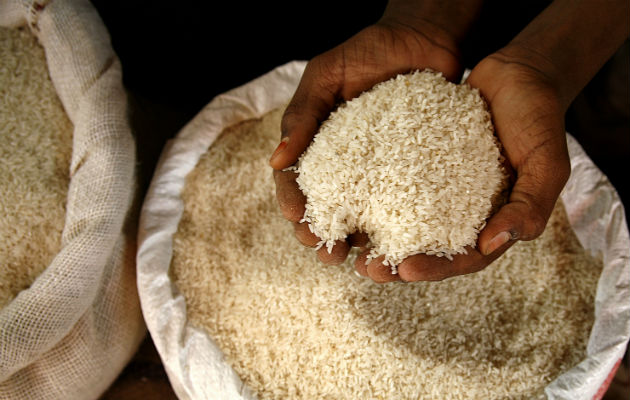 Se trata de 2 millones 300 mil quintales de arroz en cáscara como materia prima.