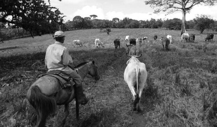 El sector agropecuario: muchas reuniones, cero soluciones