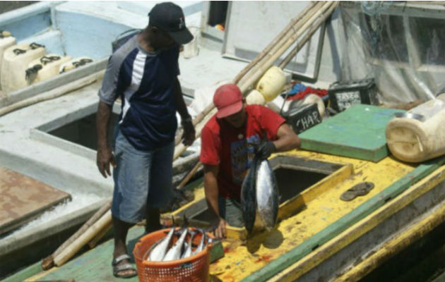 Presentan diagnóstico del sector pesca y acuícola en Panamá. Foto: Archivo.