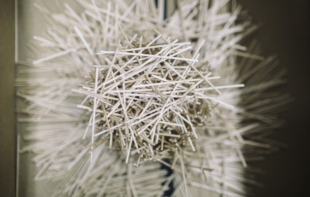 Palitos en un experimento cilíndrico en la Universidad de Akron, donde se estudia la construcción de nidos. Foto / Andrew Spear para The New York Times.