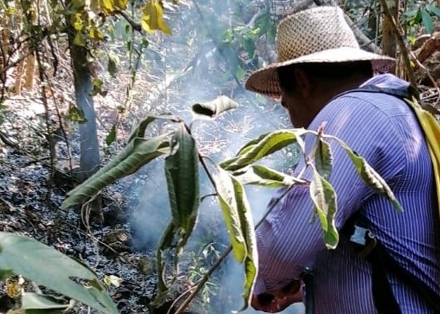Las autoridades y voluntarios trabajan para sofocar estos fuegos en áreas boscosas. Foto: Thays Domínguez.