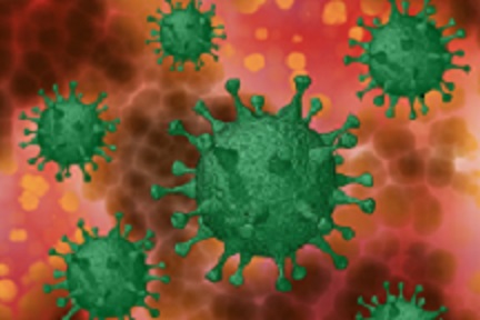 El coronavirus está sembrando duelo en todo el mundo. Editorial publicará libro de testimonios sobre el COVID-19. #QuédateEnCasa Foto: Pixabay El coronavirus está sembrando duelo en todo el mundo. Editorial publicará libro de testimonios sobre el COVID-19. #QuédateEnCasa Foto: Pixabay