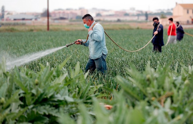 En tiempos inciertos que vive el mundo por la pandemia del COVID-19 es fundamental que se mantenga el crecimiento de la industria agrícola .