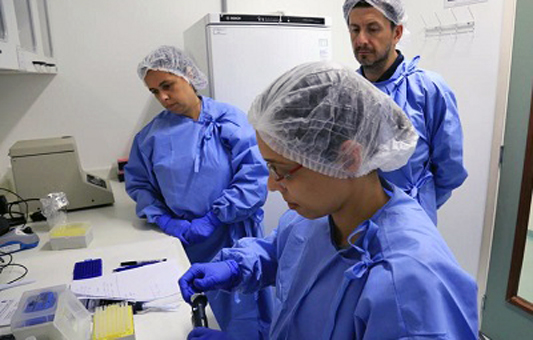 Se prevé que las Américas sea unas de las regiones que termine con mayor cantidad de casos de coronavirus.