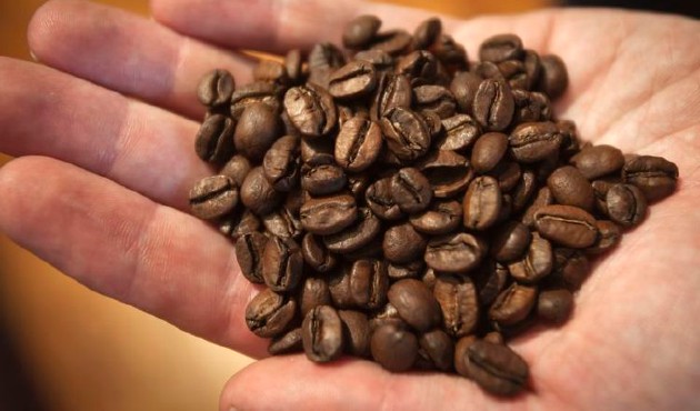 Honduras vendió 3,79 millones de quintales de café. EFE Archivo