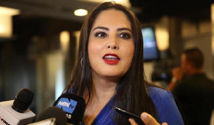 Zulay Rodríguez, diputada del PRD, proponente del proyecto 287. Archivo