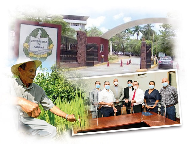 La Universidad de Panamá es la única en el país que gradúa ingenieros agrónomos  y ha formado al 90% de los profesionales de la salud del país. Foto: Epasa