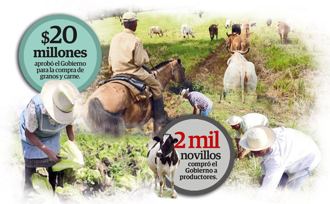 Desde el 2008 hasta la fecha en Panamá se han dejado de sembrar alrededor de 35 mil hectáreas de diferentes rubros.