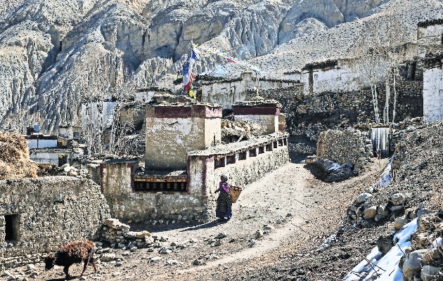 Las tierras en los Himalayas se han secado por el cambio climático. Muchas familias se han ido de Dhye. Foto / Rebecca Conway para The New York Times.