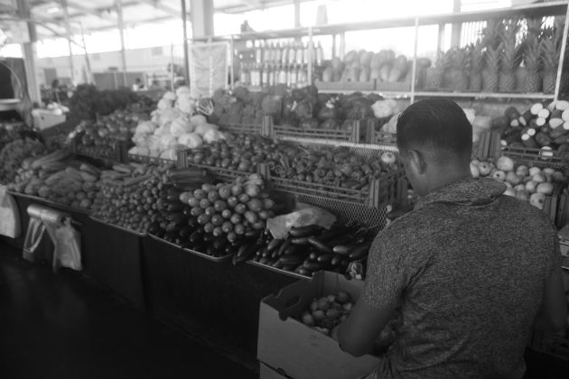  La actual situación ha demostrado la importancia de la producción nacional para lograr la seguridad alimentaria, lo que evidencia la necesidad de proteger tanto la actividad agropecuaria como agroindustrial. Foto: Víctor Arosemena.