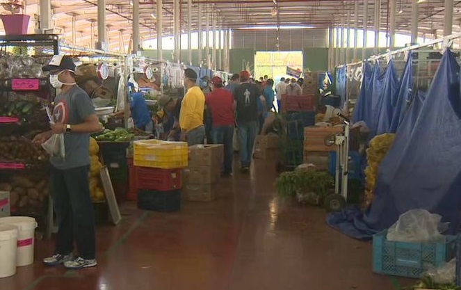 Todos los días se envía a Merca Panamá un total de 1,000 a 1,500 naranjas.