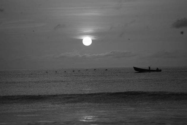  Somos dichosos de tener una gran diversidad de fauna, bosques hermosos, ríos caudalosos, playas deslumbrantes, por esas razones y muchas más, qué bella es Panamá. Foto: Archivo.