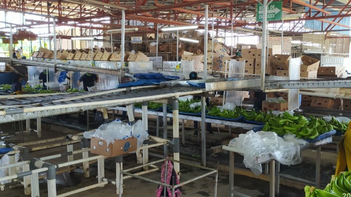 Los operativos serán constantes en diferentes empresas, ya que no van a permitir que se tenga a los trabajadores laborando en forma inadecuada expuestos al contagio de este mortal virus. Foto/Mayra Madrid