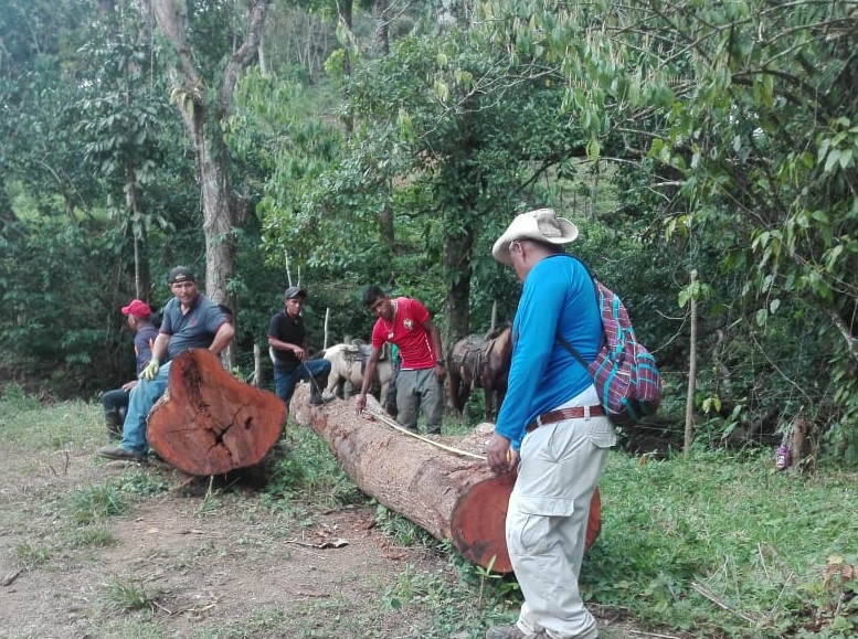 En esta área protegida de San Lorenzo hay múltiples especies.Foto/Diomedes Sánchez