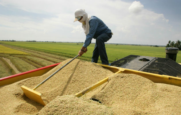 Valderrama hizo un llamado a los productores para que utilicen los salvoconductos de buena manera y no para uso incorrecto.