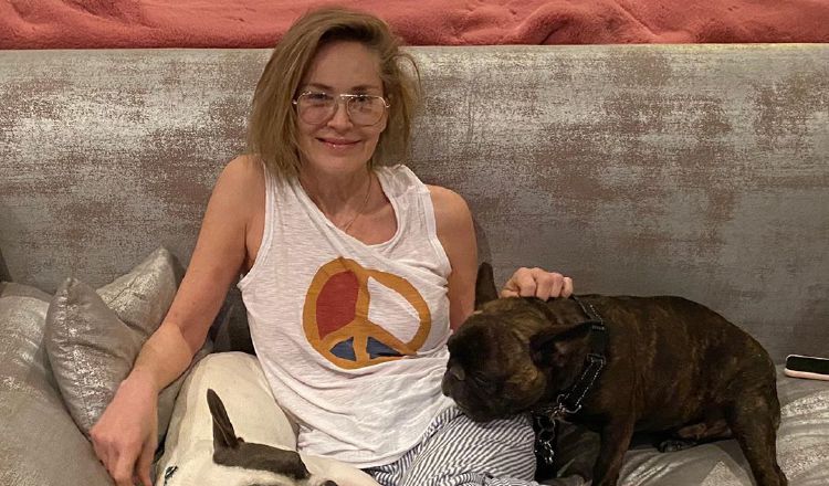 Sharon Stone es una de estas celebridades.  Instagram