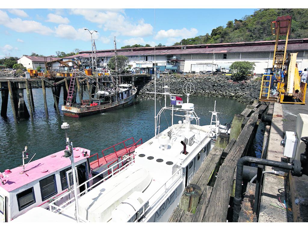 Las embarcaciones de camarón y anchoveta o sardina son las que salieron hoy desde el puerto de Vacamonte.