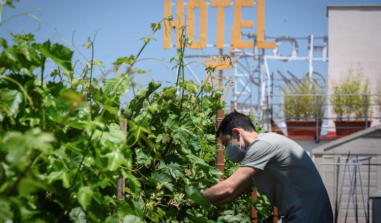 Apuestan al turismo interno para luego poder abrir fronteras. EFE