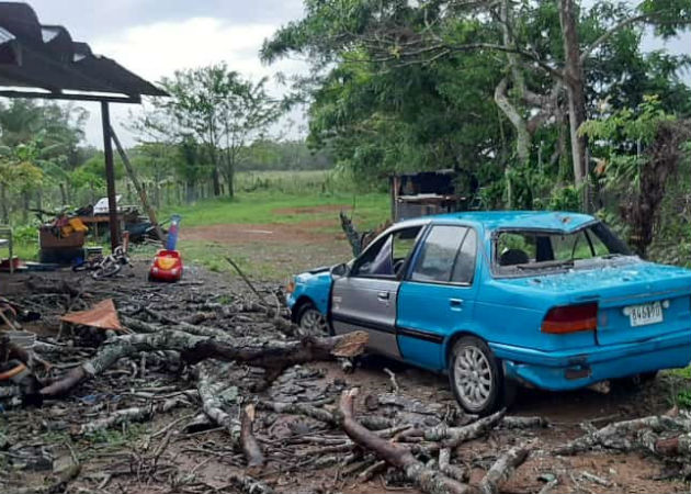 Ramas de árboles cayeron sobre un automóvil en Pedasí. Fotos: Thays Domínguez.