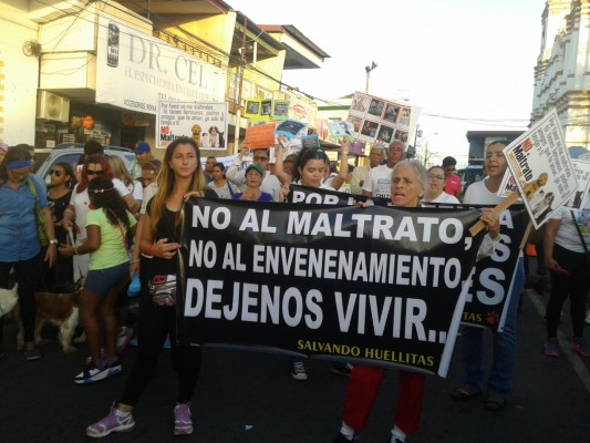 Los grupos protectores de los animales exugen que se haga cumplr la ley.