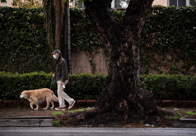 Cuatro mil pasos más por día, a cualquier ritmo, reducen el riesgo de muerte temprana en 50 por ciento, dice estudio. Foto / Etienne Laurent/EPA, vía Shutterstock.