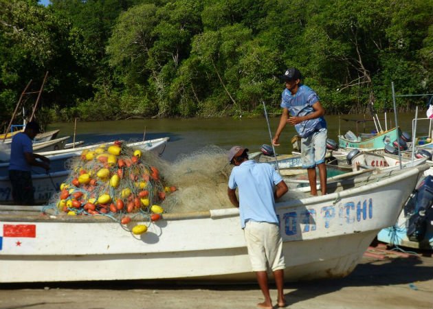  La pesca ilegal es la mayor amenaza para la sostenibilidad de los recursos pesqueros. Fotos: Archivo/Ilustrativa. 