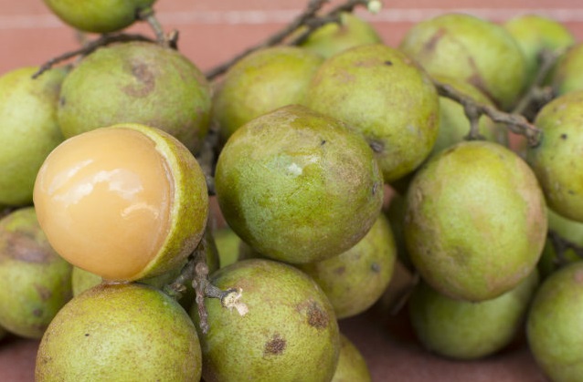 El infante de 2 años disfrutaba de la fruta de mamón en su casa. 