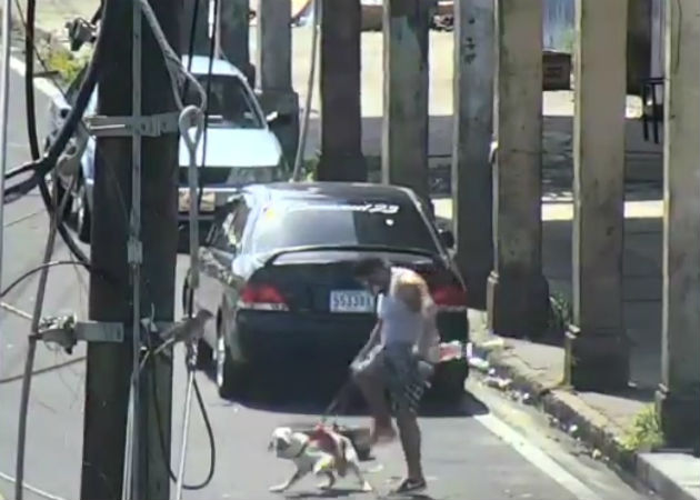 Cámara de videovigilancia capta a un hombre maltratando a su perro por la  Casa Wilcox