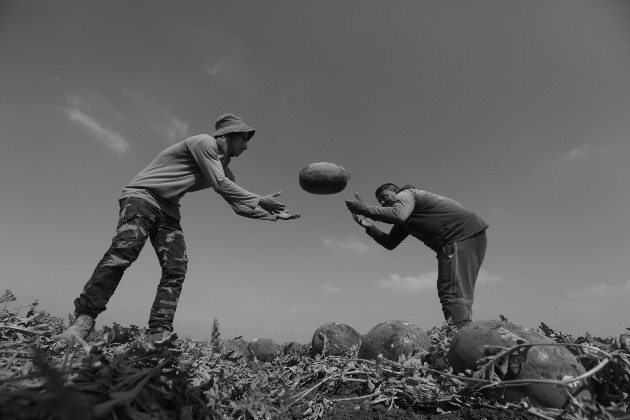 Se tendrá que evaluar la nueva forma de recepción de mercancías y de despacho de los productos puestos en venta, ya que las normas de bioseguridad así lo exigen. Foto: EFE.