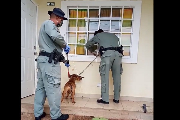 Caso reportado en La Valdeza, Panamá Oeste.