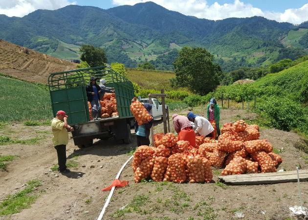 No se descarta que haya especulación en el precio de venta al consumidor. Fotos: José Vásquez.