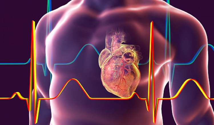 Se requiere más precaución y supervisión para los pacientes con enfermedades cardiovasculares.  Pixabay