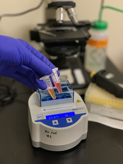 Una nueva generación de pruebas rápidas de coronavirus se aproxima